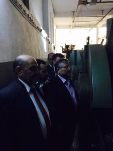 yün cami halısı